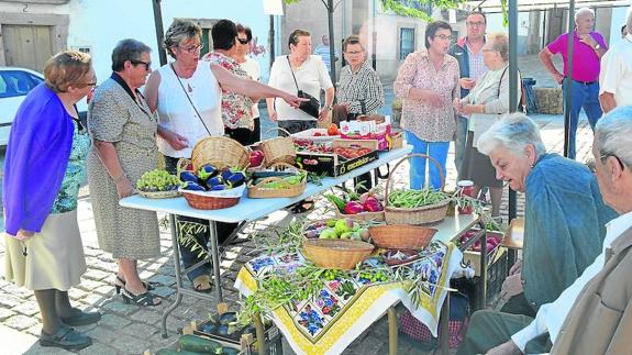 La variedad y el sabor de Lumbrales brillan en su primera feria hortícola