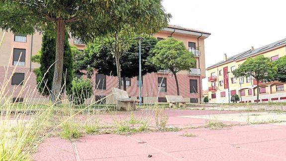 Clamor vecinal por el pobre estado de las zonas verdes en los barrios periféricos