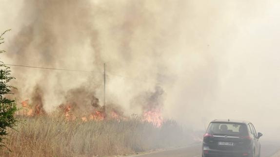 Controlado el incendio declarado en las afueras de Laguna de Duero
