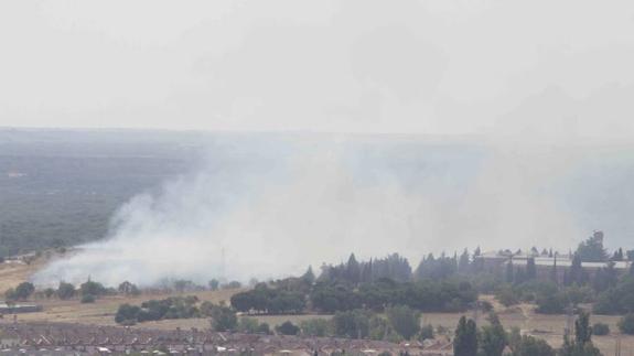 Un incendio quema diez hectáreas en Laguna de duero