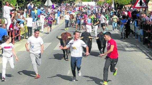 Hoy empieza el año en la Nava