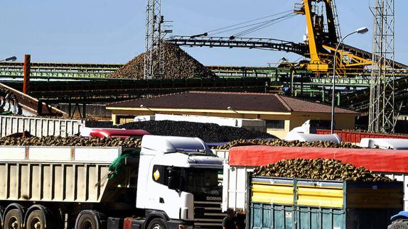 Muere un trabajador en la azucarera de Acor en Olmedo