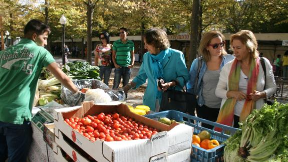 Productos ecológicos y naturales llenarán este domingo los Paseos de San Francisco
