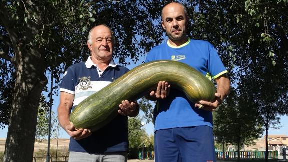 Un calabacín gigante de 22,5 kilos en Hontanares de Eresma