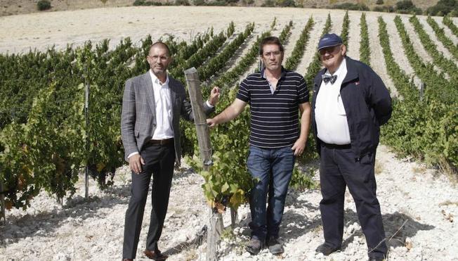 Quinta Sardonia apuesta por la viticultura biodinámica