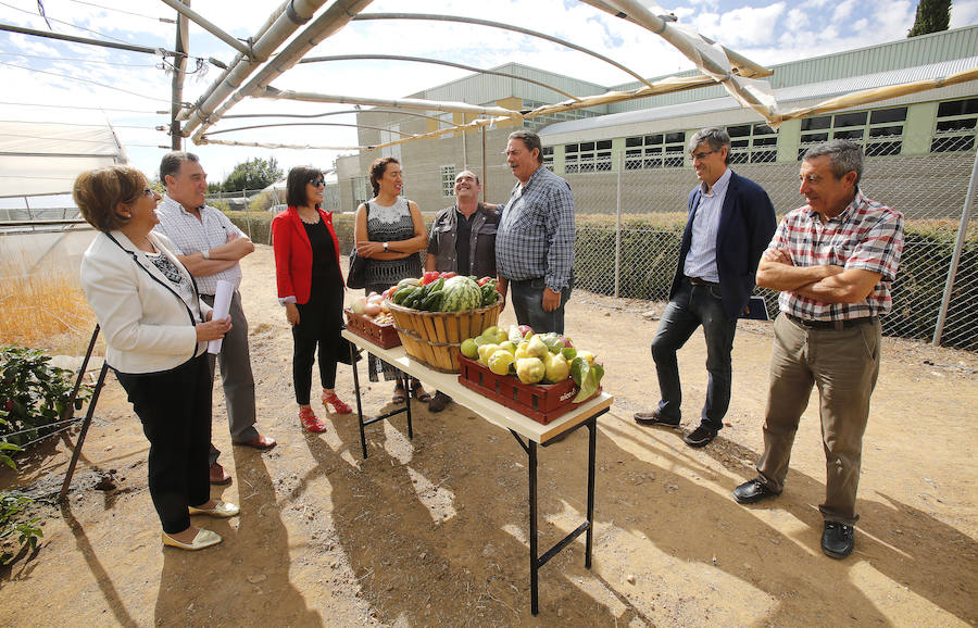 El campus de Palencia entregará frutas y verduras al comedor social