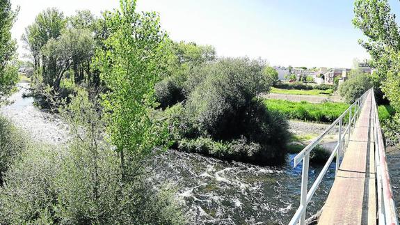 El Ayuntamiento acelera los trámites para recuperar la pesquera del barrio de Tejares