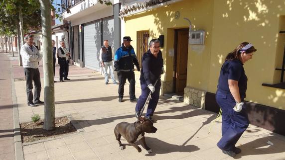 Deja a un pitbull suelto en la casa de la que iba a ser desalojada