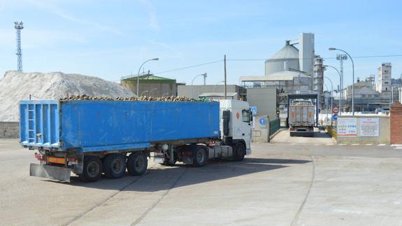 Toro recibe las primeras 3.000 toneladas de remolacha de las 760.000 que espera