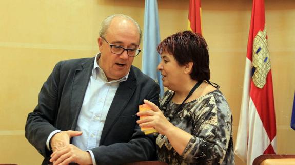 La alcaldesa ignoraba la «literalidad» de la carta de su concejal al presidente de la AIHS