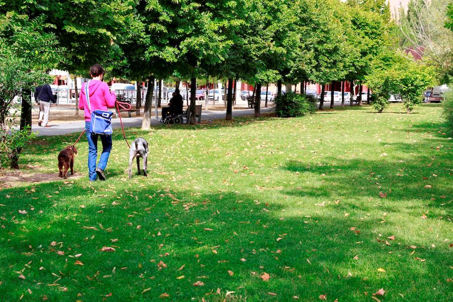 El parque canino de Laguna se situará junto al lago