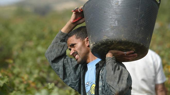 Castilla y León registra su máximo de trabajadores extranjeros en cuatro años