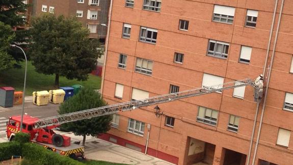 Los bomberos retiran dos avisperos en Palencia