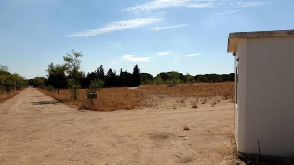 Nuevas parcelas para ampliar el recinto de Pingüinos