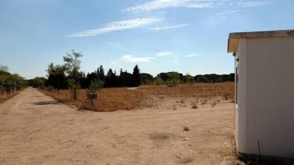 195.000 euros para acondicionar el terreno de Pingüinos