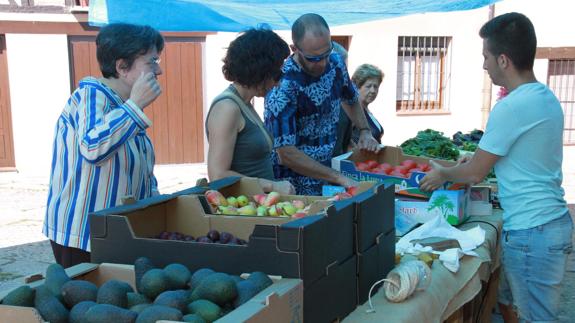 El mercado ecológico se traslada al entorno de la Plaza de Toros