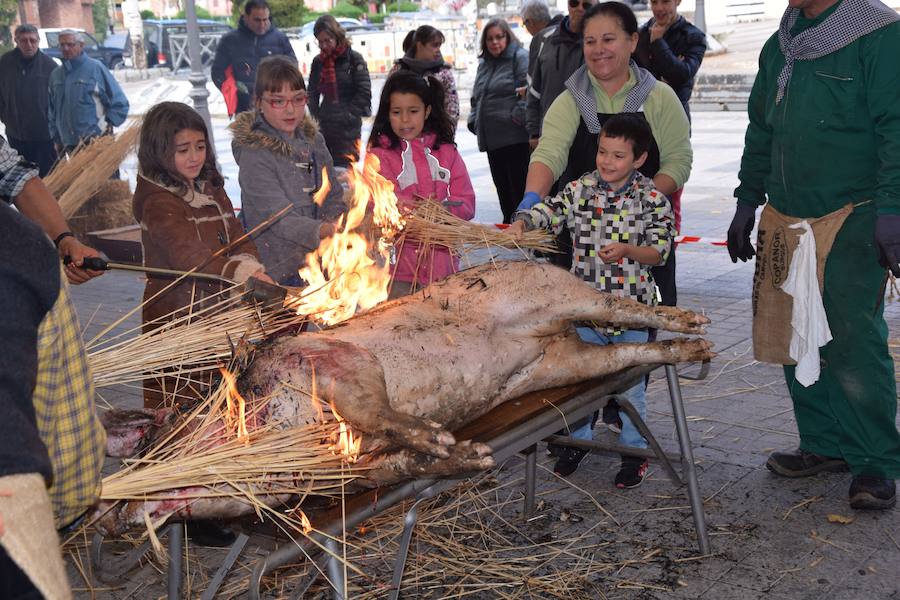 Guardo renueva la tradición de la matanza del cerdo