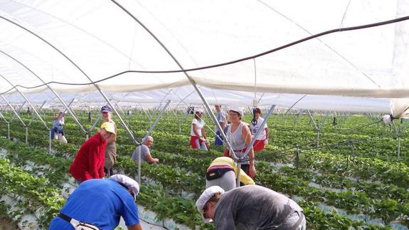 La provincia con más proporción de población extranjera carece de centro examinador