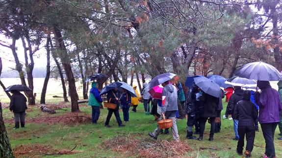 A por setas con el paraguas