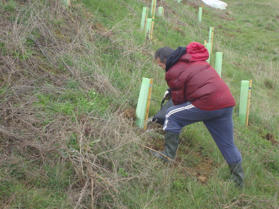 Baquerín de Campos avanza en la recuperación de espacios medioambientales