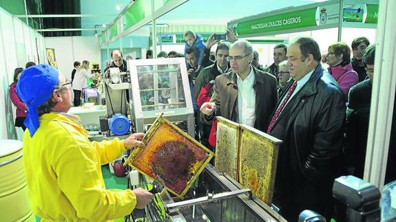 La Feria de la Miel de Aldeatejada inicia su VII edición con buen sabor