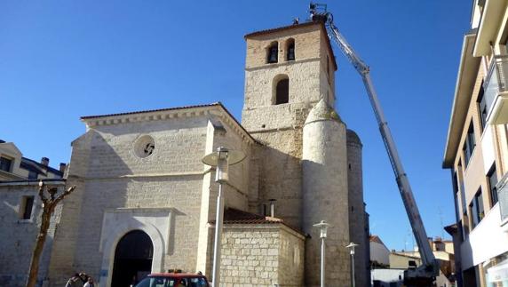 Conoce por qué se están retirando este año los nidos de las cigüeñas