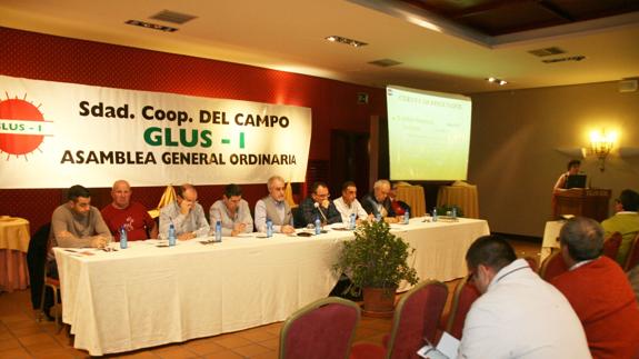 La cooperativa Glus I sube un 2% las ventas y alcanza los 16,5 millones