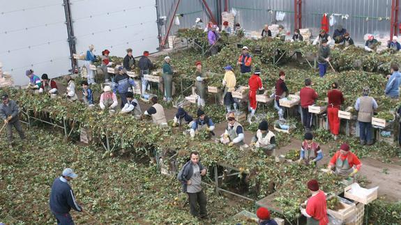 Noviembre negro para el empleo en Segovia