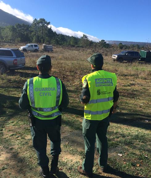 Una montería en un coto privado de caza Aguilafuente se salda con varias denuncias