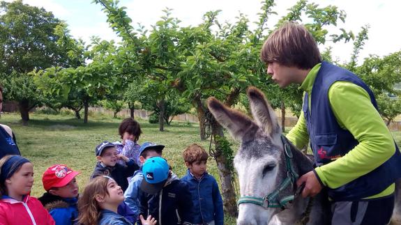 Con el mundo rural y el huerto ecológico