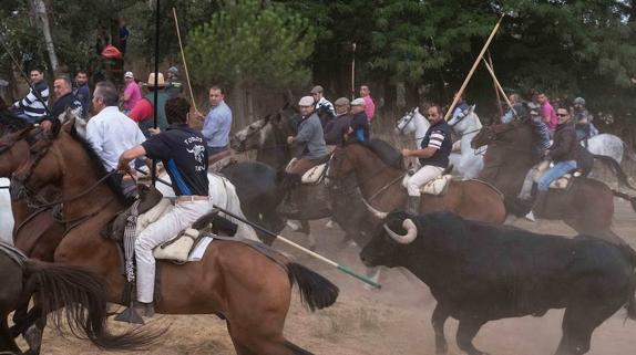 La Junta sugiere mantener el nombre de Toro de la Vega para conservar la tradición