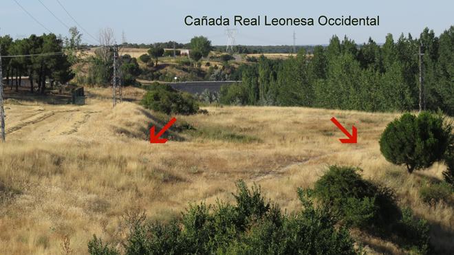 Reclaman que se amojone el trazado de la cañada real Leonesa occidental en Arévalo