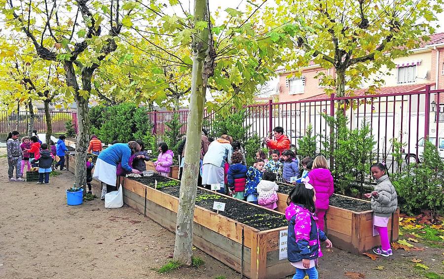 La red de huertos escolares de la Usal suma otros tres centros y llega a once