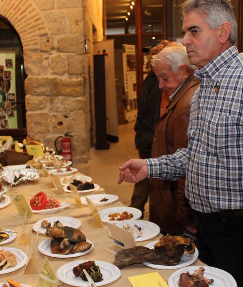 Setas de todas las especies en la Casa Junco de Palencia