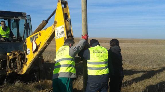 Fuentes de Nava controlará plagas con cajas nido