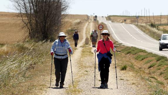 Más de 47.000 peregrinos recorrieron el Camino de Santiago en Palencia