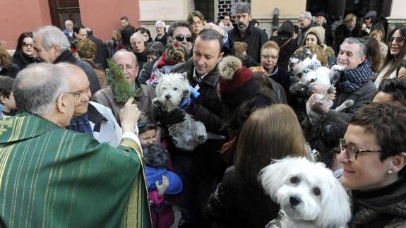El día de las mascotas ha llegado