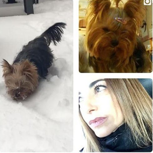 Mariló Montero muere de dolor ante una gran pérdida