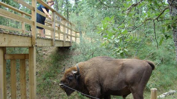 Los niños de Cervera, por el cuidado del planeta