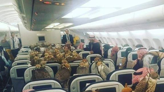 Un príncipe árabe compra 80 billetes de avión para viajar con sus halcones