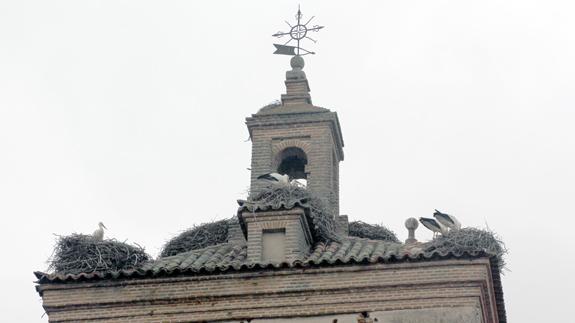 Galerida Ornitólogos organiza el domingo una jornada de observación de cigüeñas