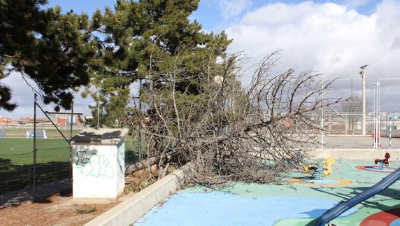 El 112 ha gestionado 75 emergencias en Palencia el fin de semana por el viento
