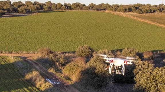 Los drones de Hacienda sobrevolarán 24 municipios en busca de defraudadores