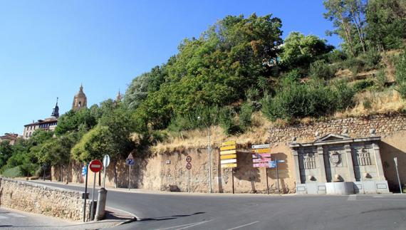 Arbustos para rematar el talud del Paseo del Salón