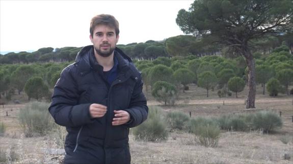 Fin de semana primaveral con lluvias el domingo