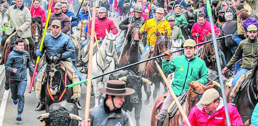 Cuatro toros que saben a poco