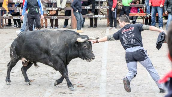 Tres heridos en un rápido encierro del lunes de carnaval en Ciudad Rodrigo