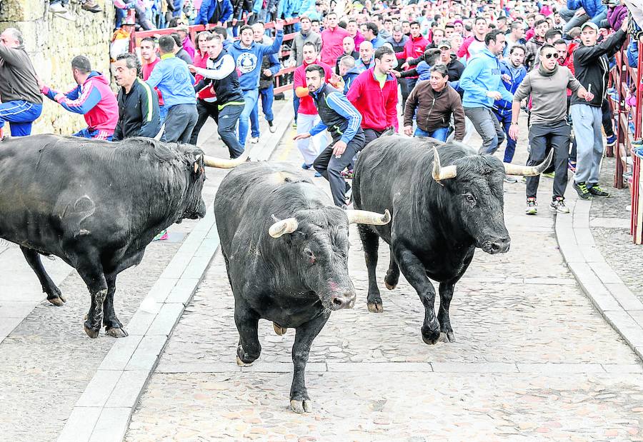 Los toros vuelven a correr en las calles