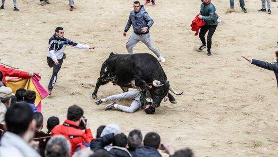Dos heridos muy graves por asta de toro en los Carnavales de Ciudad Rodrigo