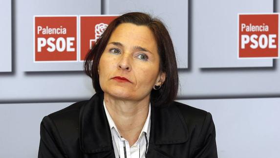 El PSOE propone la elaboración de un plan de emergencia para la Montaña Palentina